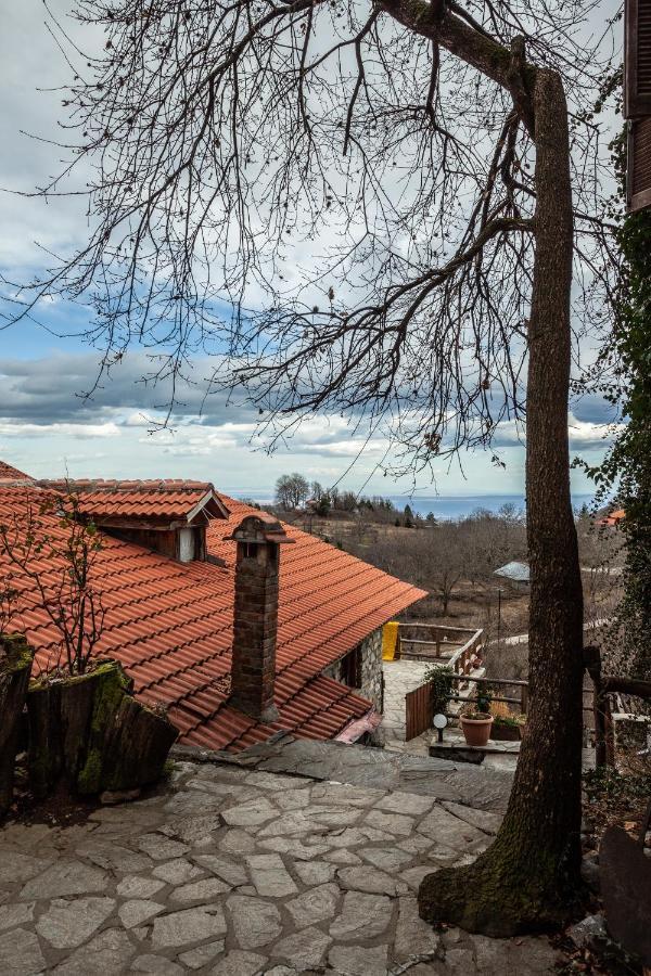 Arxontiko Agonari Hotel Metamorfosi  Bagian luar foto