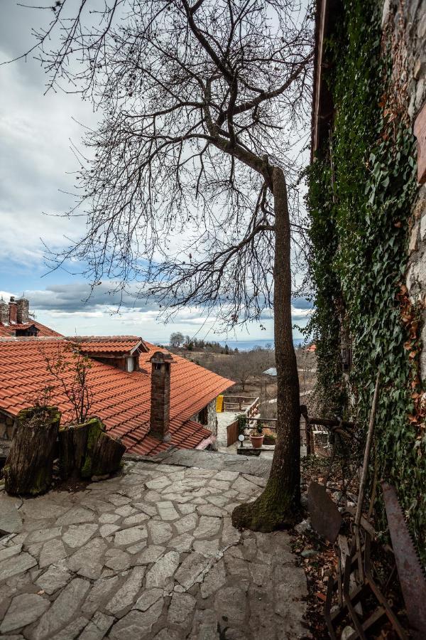 Arxontiko Agonari Hotel Metamorfosi  Bagian luar foto