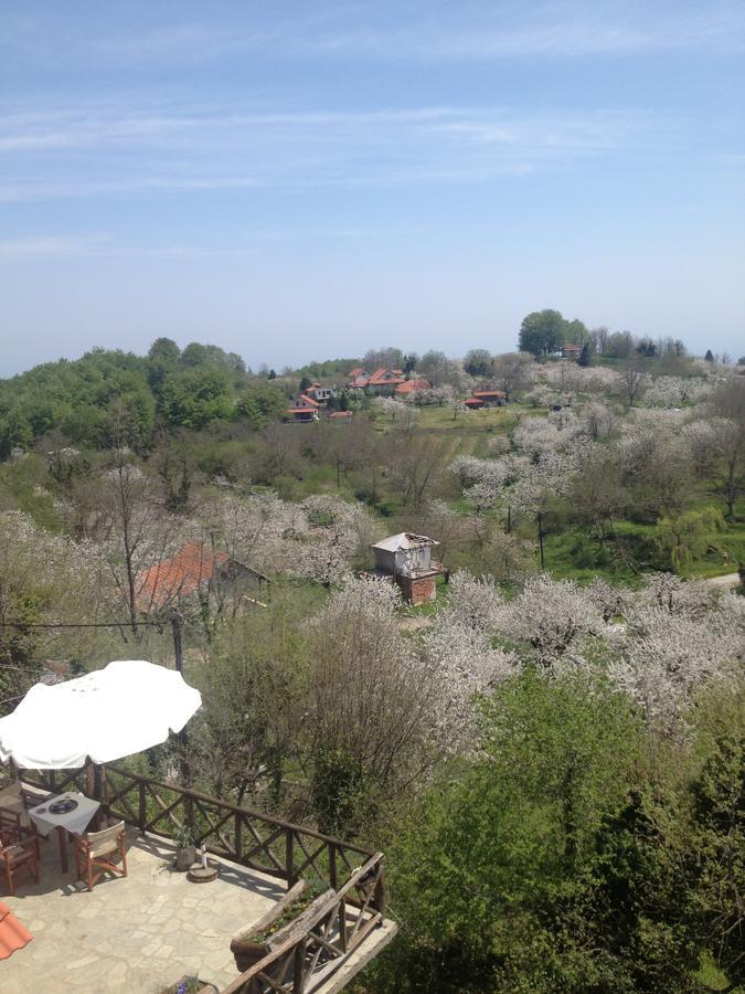 Arxontiko Agonari Hotel Metamorfosi  Bagian luar foto